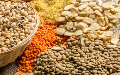 COOKING WITH LEGUMES