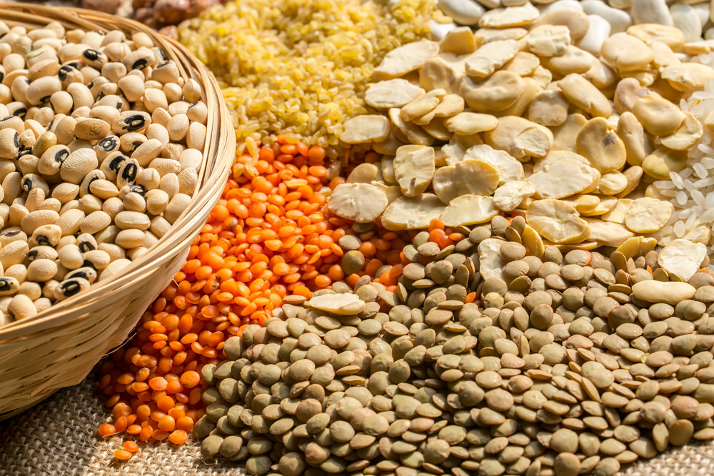 COOKING WITH LEGUMES