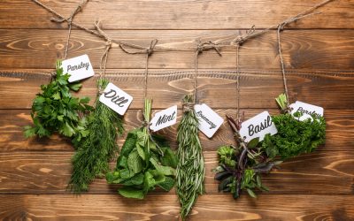 COOKING WITH HERBS